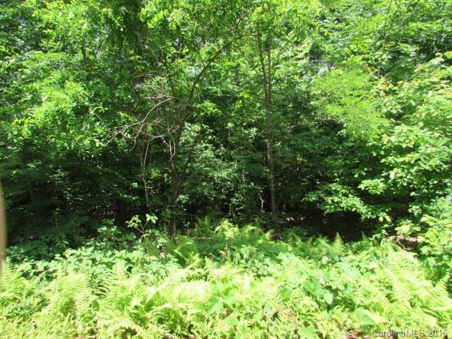 Lot#11 Walker Ridge Road Spruce Pine, NC 28777 - Photo 3 of 11 Gallery Image 3
