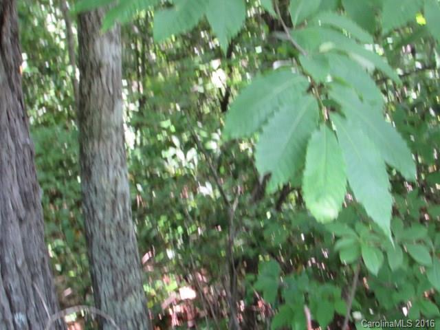 Lot#11 Walker Ridge Road Spruce Pine, NC 28777 - Photo 7 of 11 Gallery Image 7