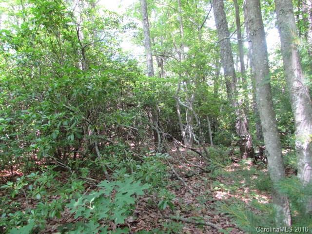 Lot#11 Walker Ridge Road Spruce Pine, NC 28777 - Photo 9 of 11 Gallery Image 9
