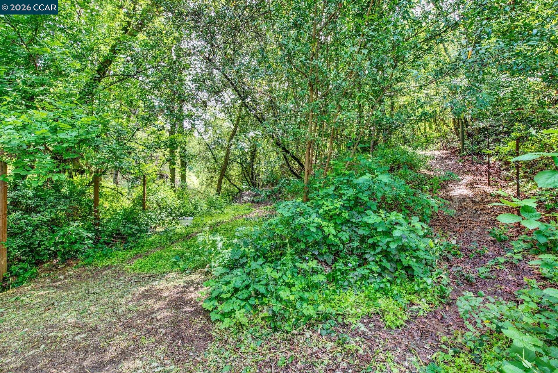 4009 A Redwood Road Napa, CA 94558 - Photo 13 of 15