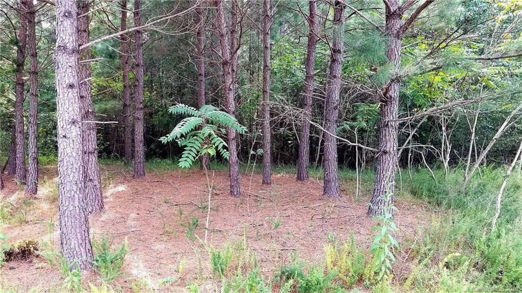 0 Greens Road, Unit 109 Granite Falls, NC 28630 - Photo 11 of 22 Gallery Image 11