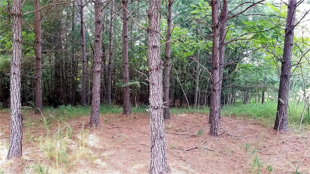 0 Greens Road, Unit 109 Granite Falls, NC 28630 - Photo 12 of 22 Gallery Image 12