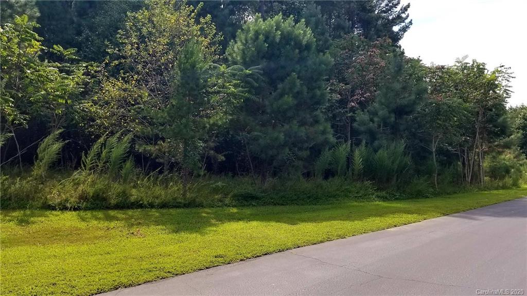 0 Greens Road, Unit 109 Granite Falls, NC 28630 - Photo 7 of 22 Gallery Image 7