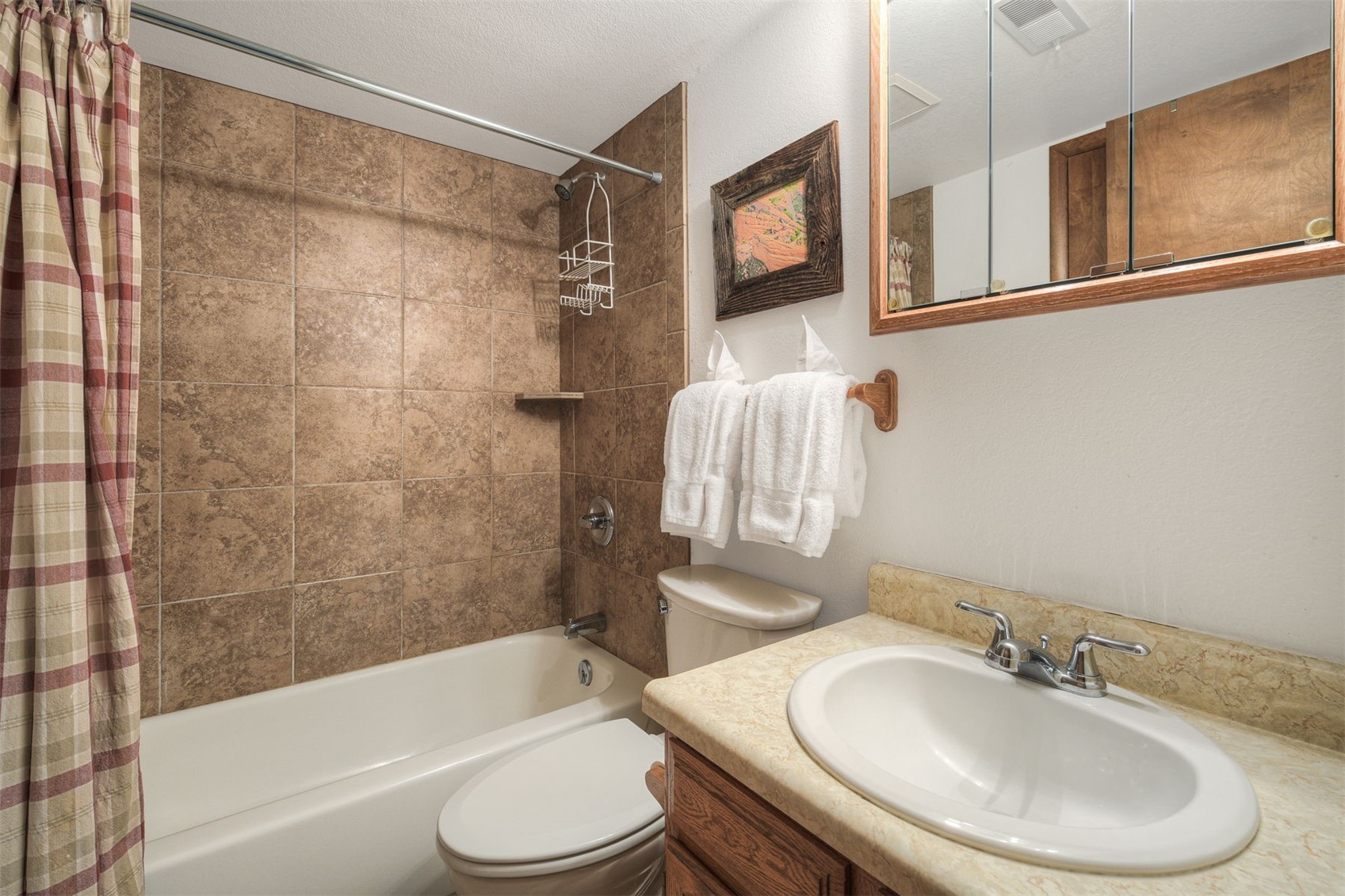 570 Bills Ranch Road, Unit 355 Frisco, CO 80443 - Photo 13 of 22