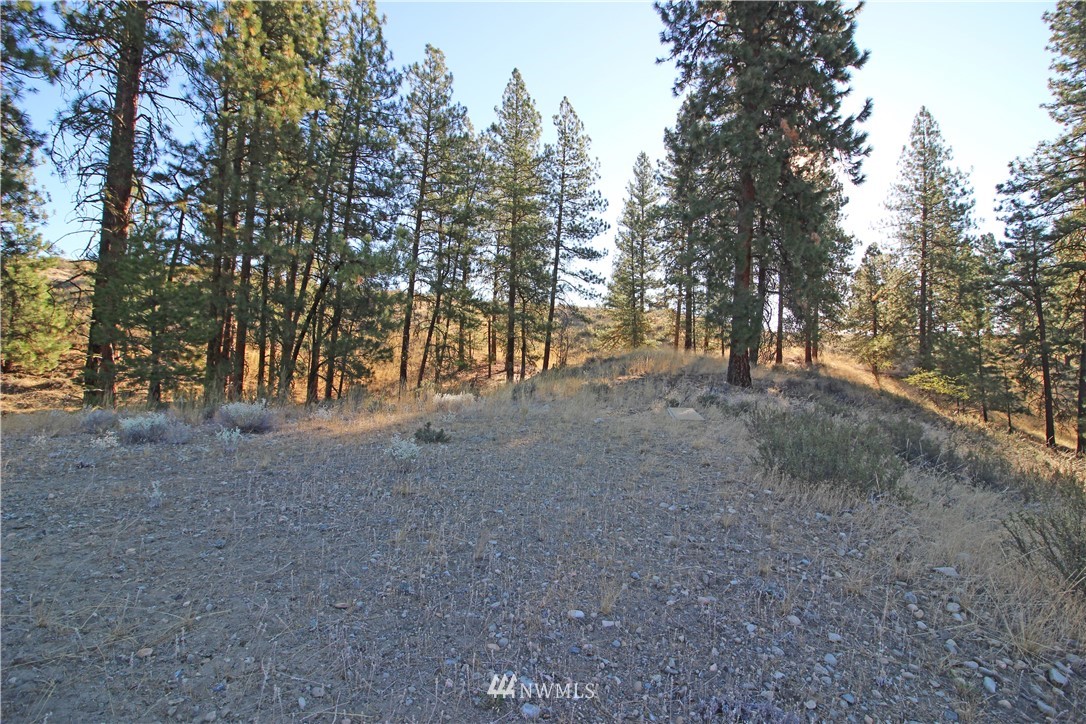 0 Palomino Road Winthrop, WA 98862 - Photo 14 of 20 Gallery Image 14