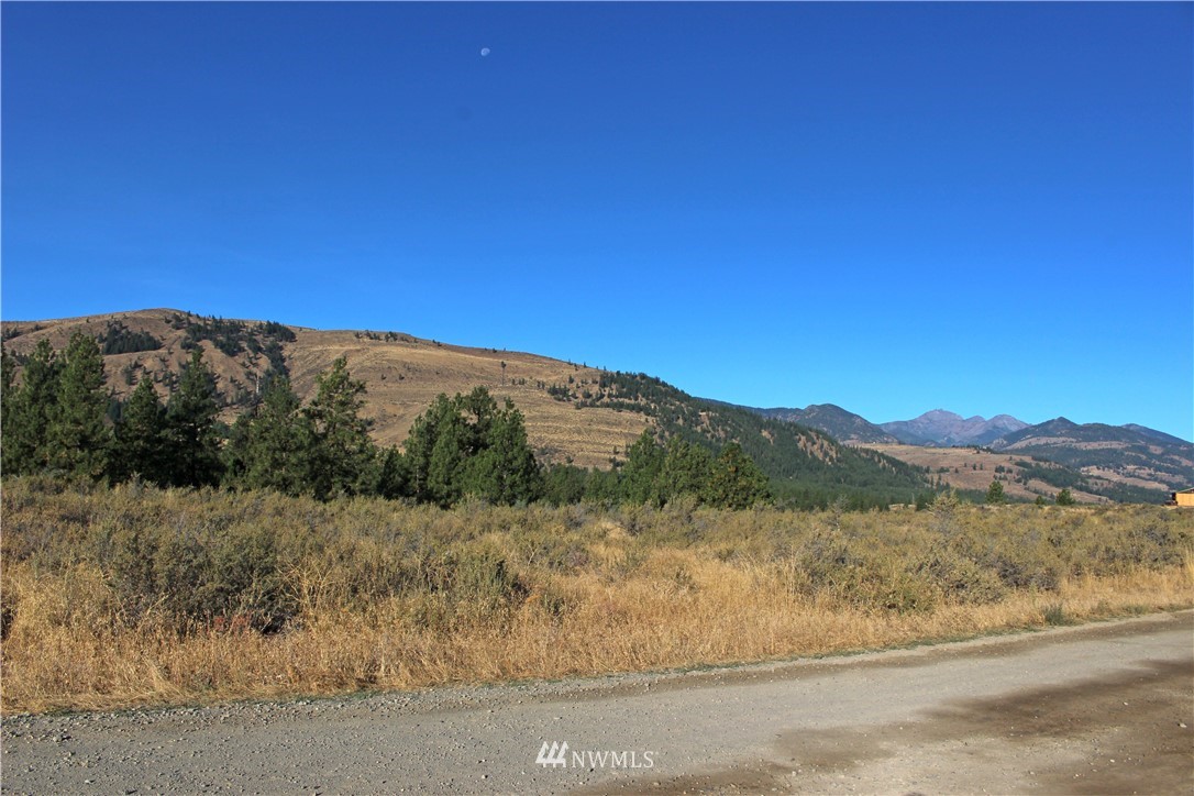 0 Palomino Road Winthrop, WA 98862 - Photo 3 of 20 Gallery Image 3