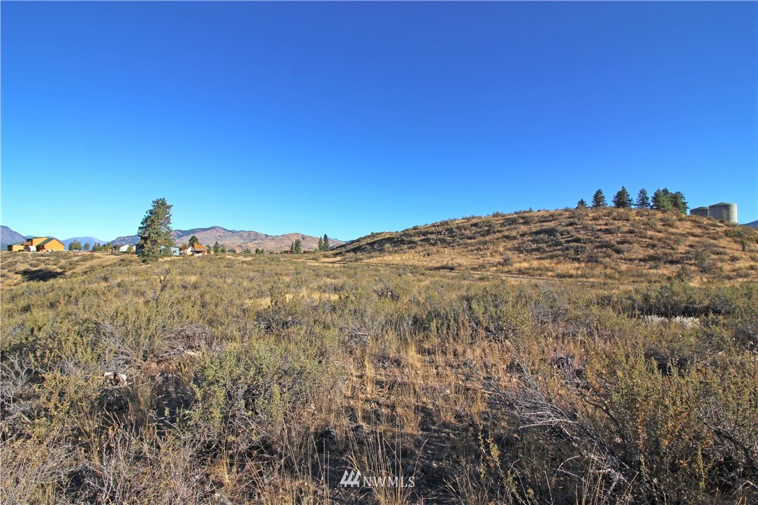 0 Palomino Road Winthrop, WA 98862 - Photo 8 of 20 Gallery Image 8