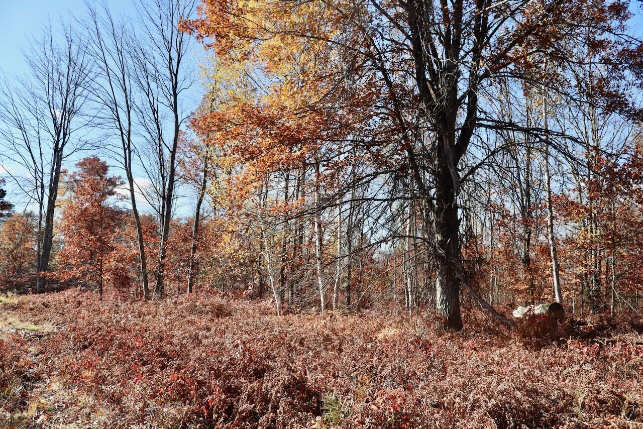 West Beamish Road Sanford, MI 48657 - Photo 13 of 27