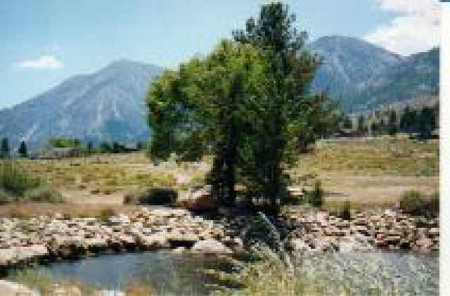 Lot#16 Foothill Road Gardnerville, NV 89460 - Photo 2 of 5