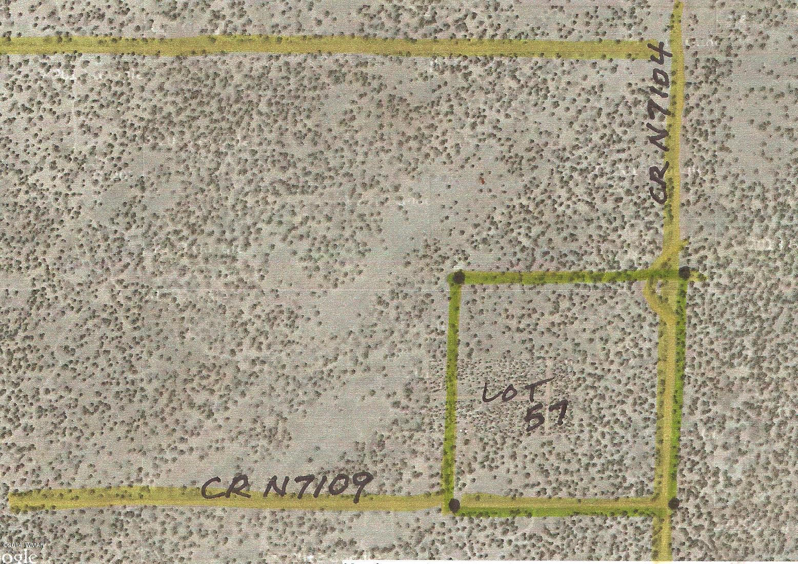 Lot 57 Red Sky Ranch, Unit 1 St. Johns, AZ 85936 - Photo 2 of 5
