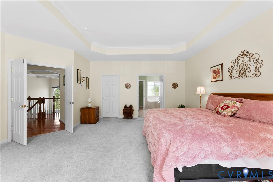 753 Blossom Tree Road Culpeper, VA 22701 - Photo 55 of 68 Spacious bedroom featuring a tray ceiling, light-t