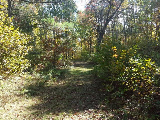 On Wilsch Road, Unit LOT 2 Conover, WI 54519 - Photo 2 of 15 Gallery Image 2