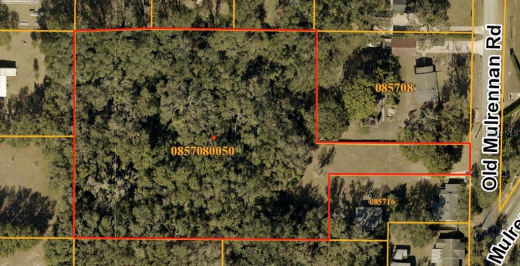 224 Old Mulrennan Road Valrico, FL 33594 - Photo 2 of 5