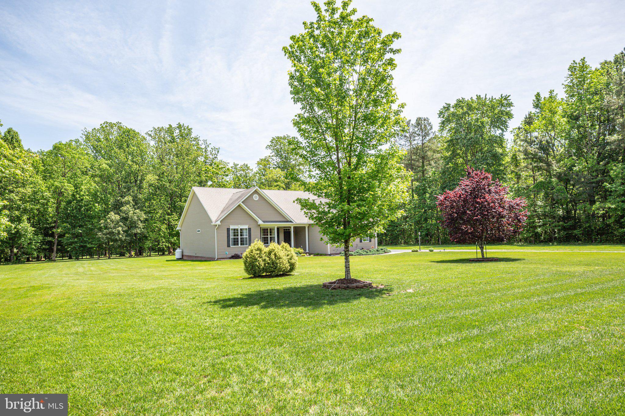 6385 St Pauls Road King George, VA 22485 - Photo 32 of 41 2 acre setting