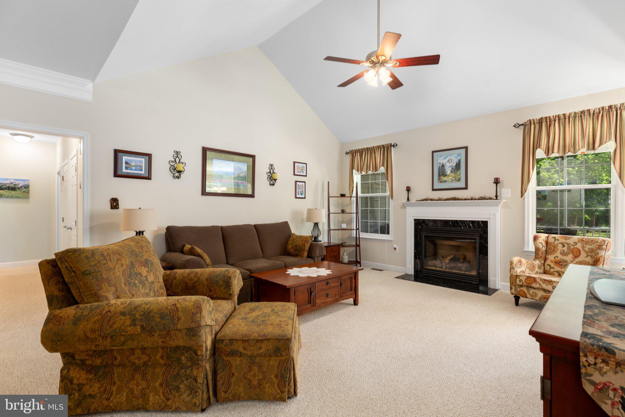 6385 St Pauls Road King George, VA 22485 - Photo 5 of 41 Gas fireplace