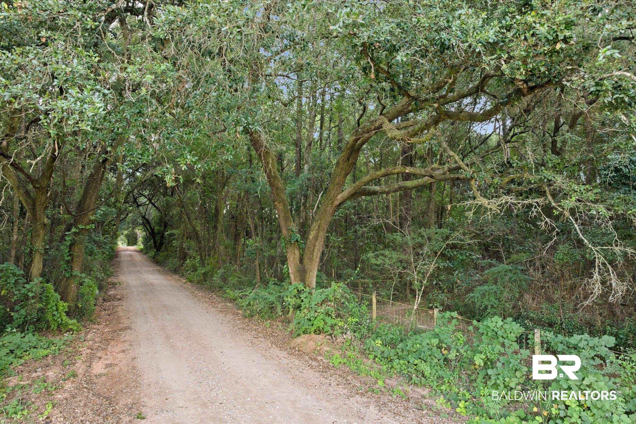 0 Dick Turner Road Grand Bay, AL 36541 - Photo 11 of 13 View of dirt / gravel road with a wooded view