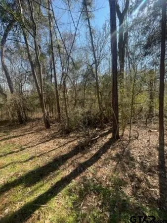 a view of a yard with plants and trees