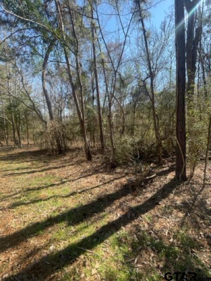 214 Forest Bullard, TX 75757 - Photo 2 of 10 a view of dirt yard with a large tree