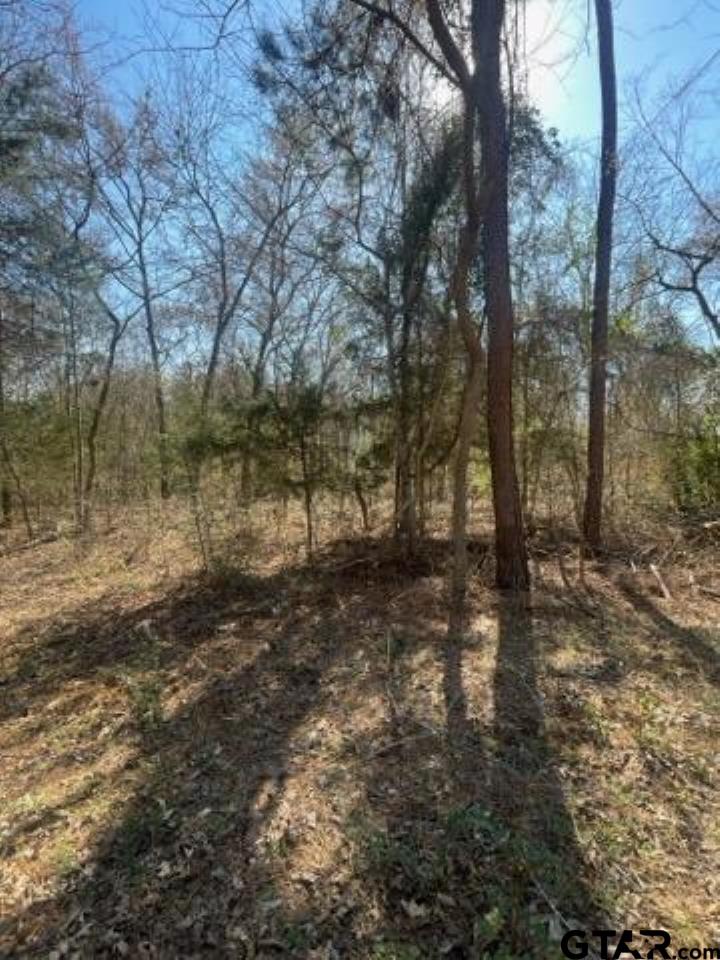 214 Forest Bullard, TX 75757 - Photo 3 of 10 a view of a yard with large trees