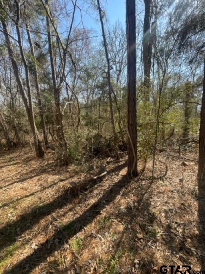 214 Forest Bullard, TX 75757 - Photo 6 of 10 a view of a yard with trees