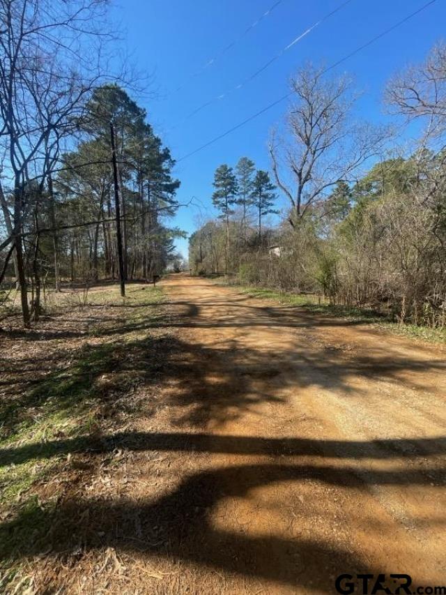 214 Forest Bullard, TX 75757 - Photo 8 of 10 a view of a yard with large trees