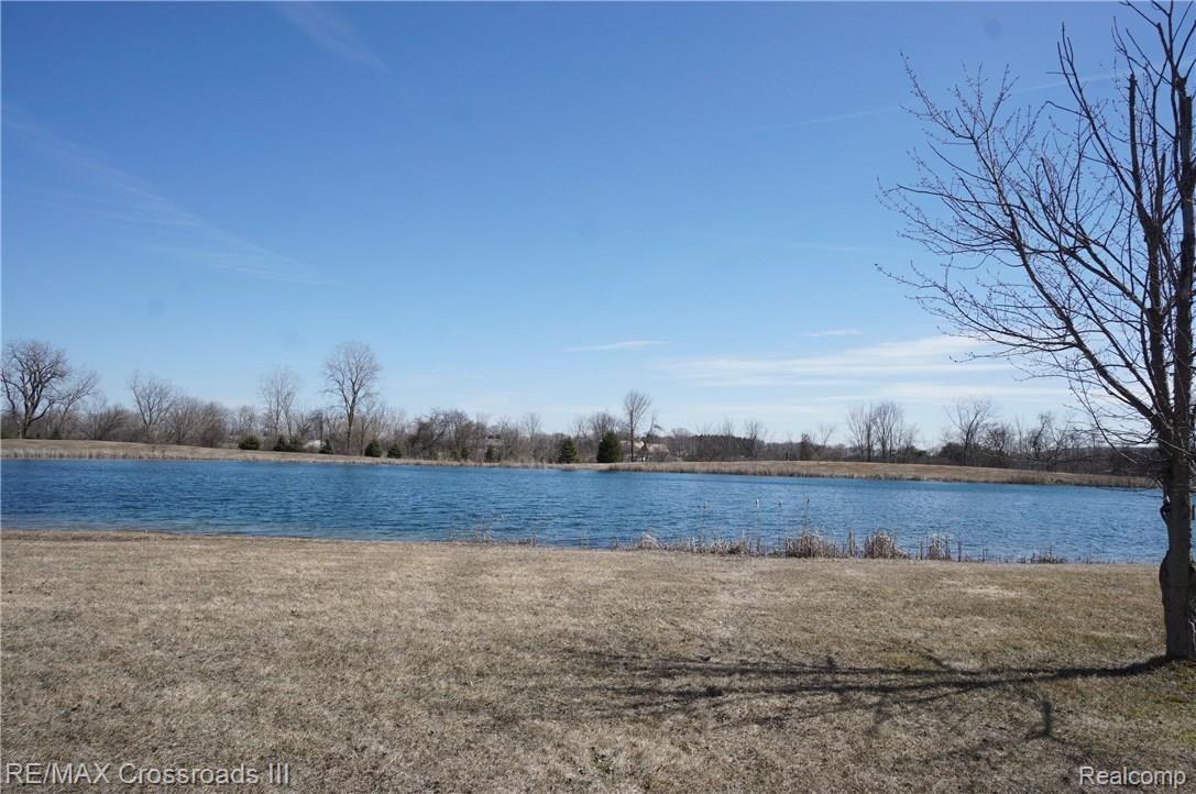 41860 Willow Road New Boston, MI 48164 - Photo 2 of 68 DSC04422.JPG