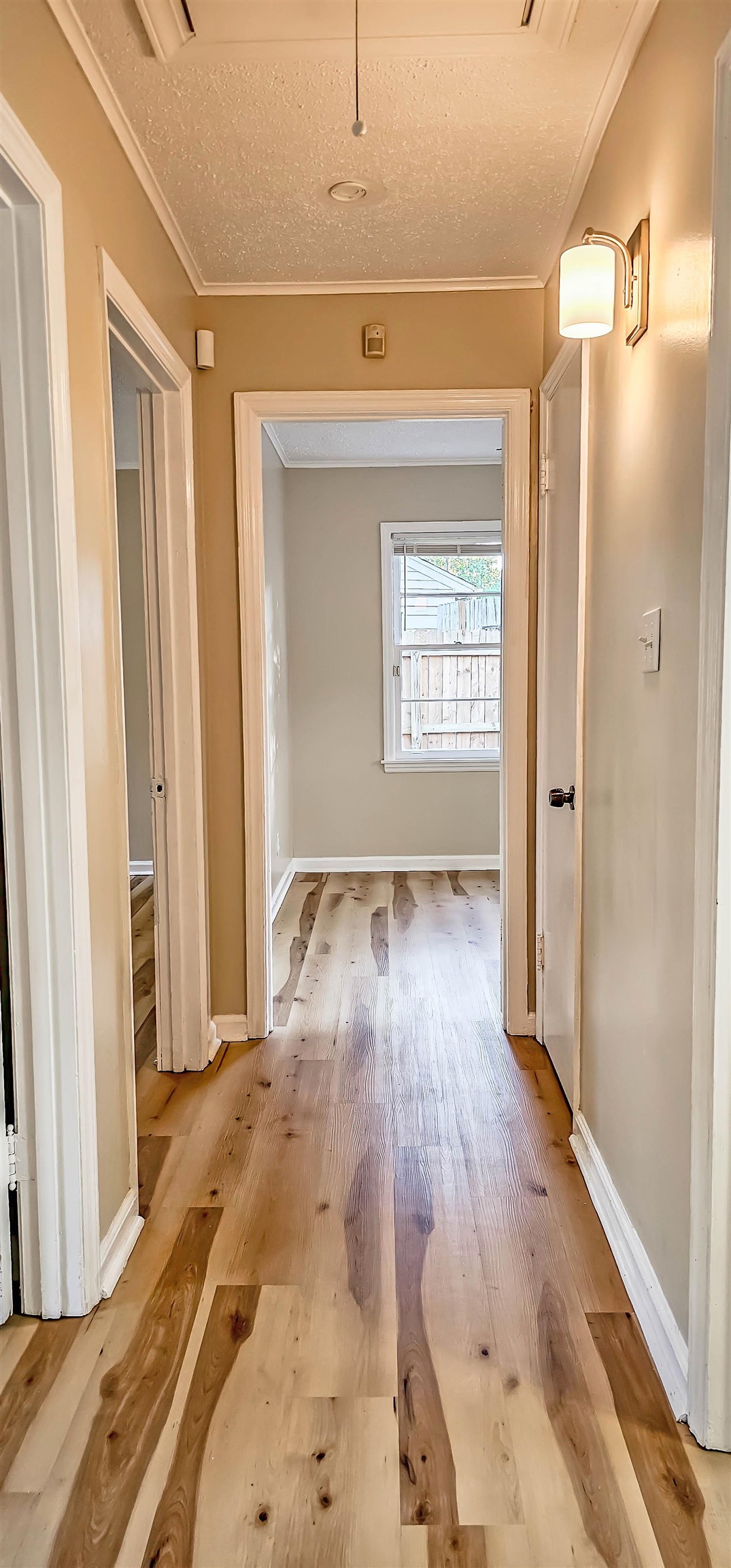 4420 Helene Road Memphis, TN 38117 - Photo 12 of 22 a view of a big room with wooden floor and windows