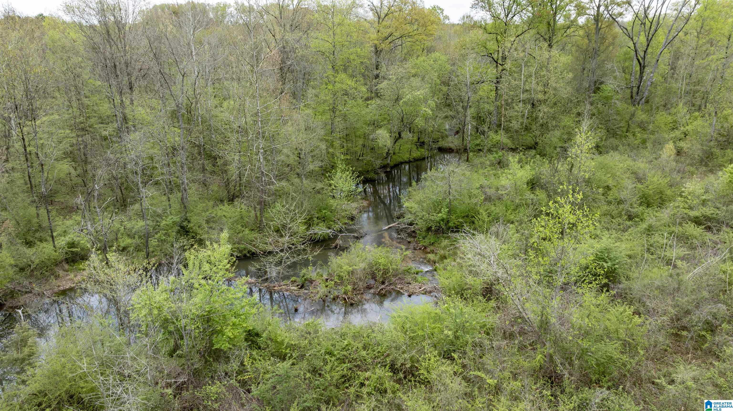 0 County Road 107, Unit 1 Montevallo, AL 35115 - Photo 2 of 5