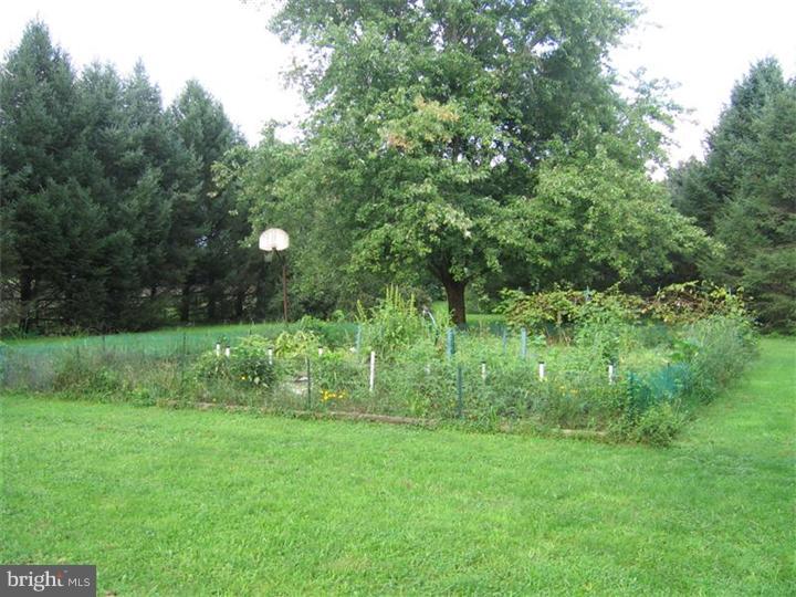 536 Chews Landing Road Sicklerville, NJ 08081 - Photo 6 of 24 Back Yard