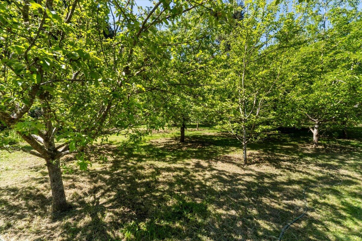 1960 Freshwater Road Eureka, CA 95503 - Photo 47 of 55