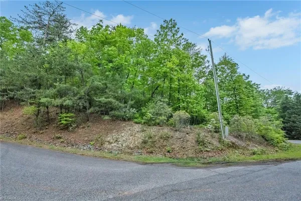 $29,900 | 135 Chestnut Mountain, McGrady, NC 28649