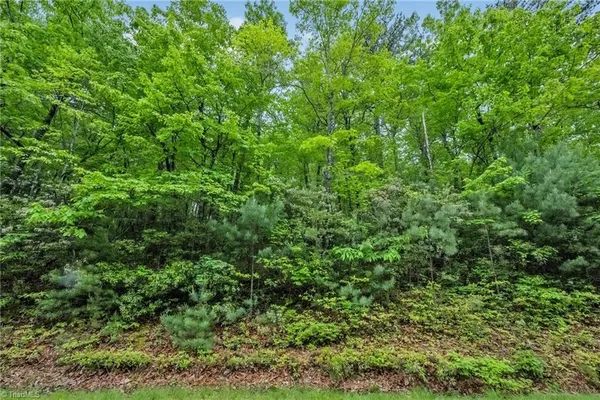 $29,900 | 135 Chestnut Mountain, McGrady, NC 28649