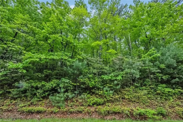 $29,900 | 135 Chestnut Mountain, McGrady, NC 28649