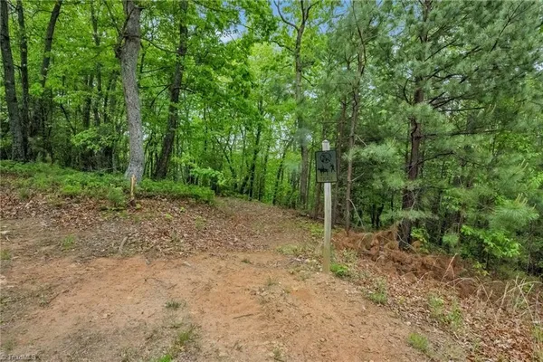 $29,900 | 135 Chestnut Mountain, McGrady, NC 28649