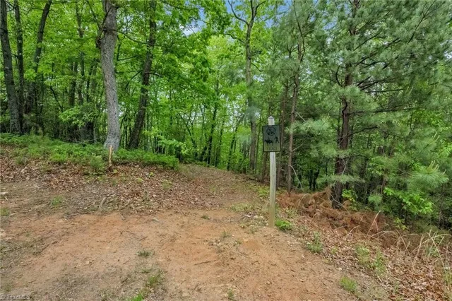 $29,900 | 135 Chestnut Mountain, McGrady, NC 28649