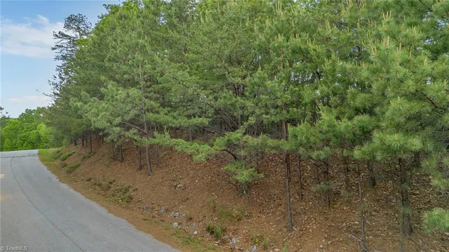 $29,900 | 135 Chestnut Mountain, McGrady, NC 28649