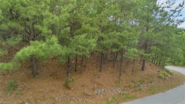 $29,900 | 135 Chestnut Mountain, McGrady, NC 28649