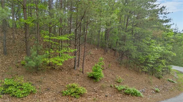 $29,900 | 135 Chestnut Mountain, McGrady, NC 28649