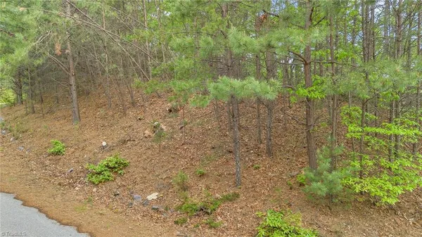 $29,900 | 135 Chestnut Mountain, McGrady, NC 28649