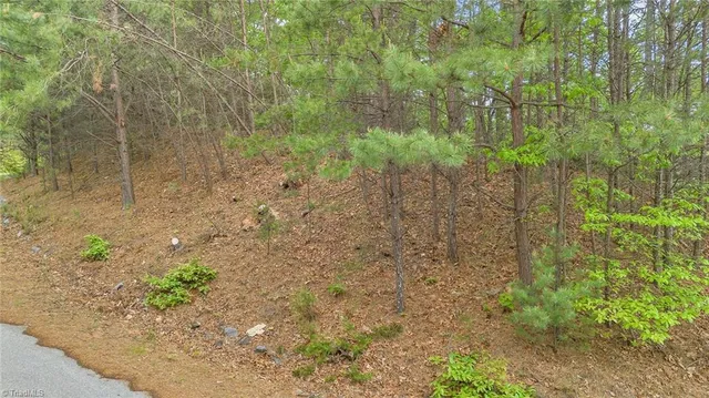 $29,900 | 135 Chestnut Mountain, McGrady, NC 28649