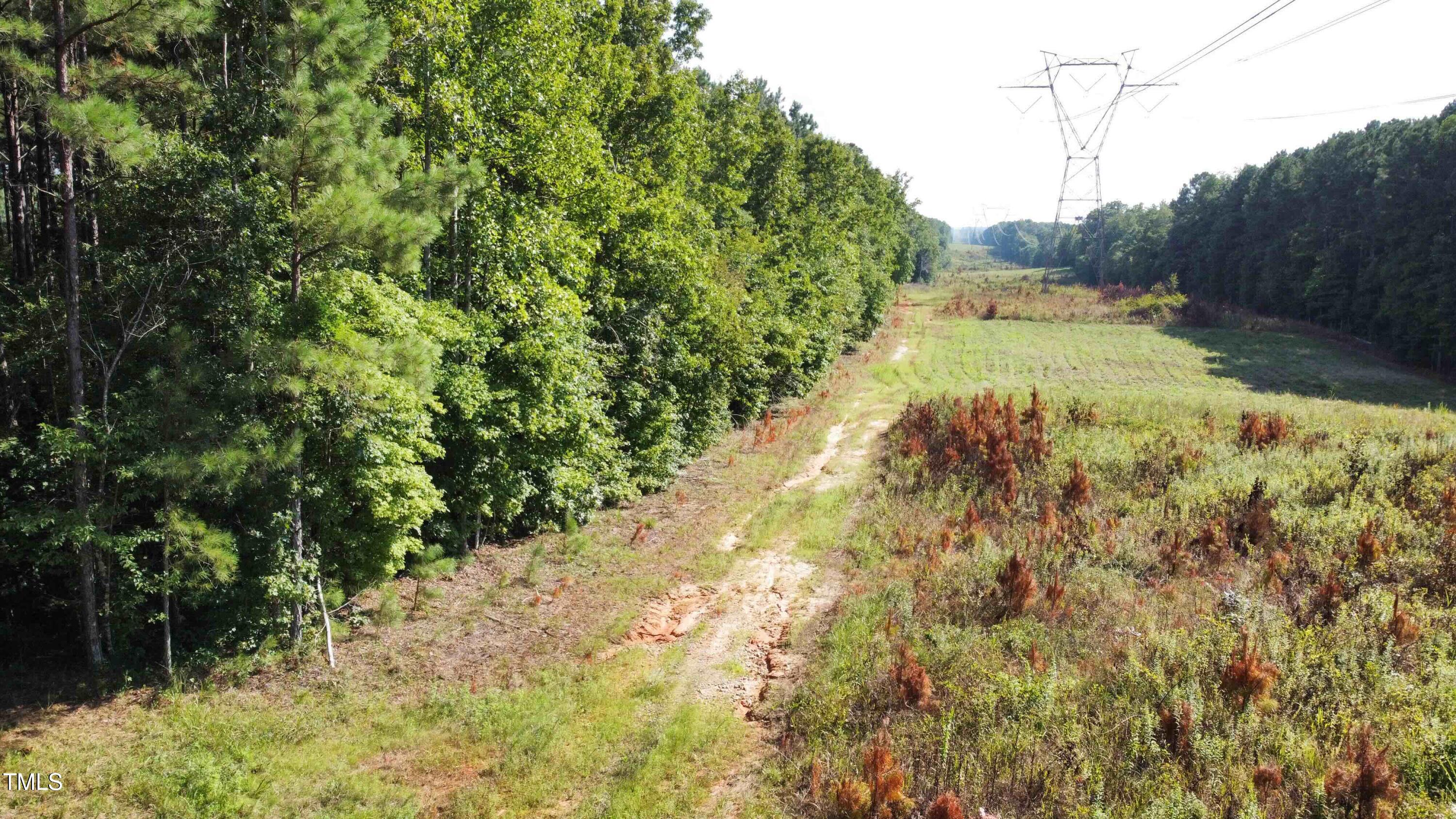 0 Richardson Road Warrenton, NC 27589 - Photo 12 of 21 a view of a yard with a tree