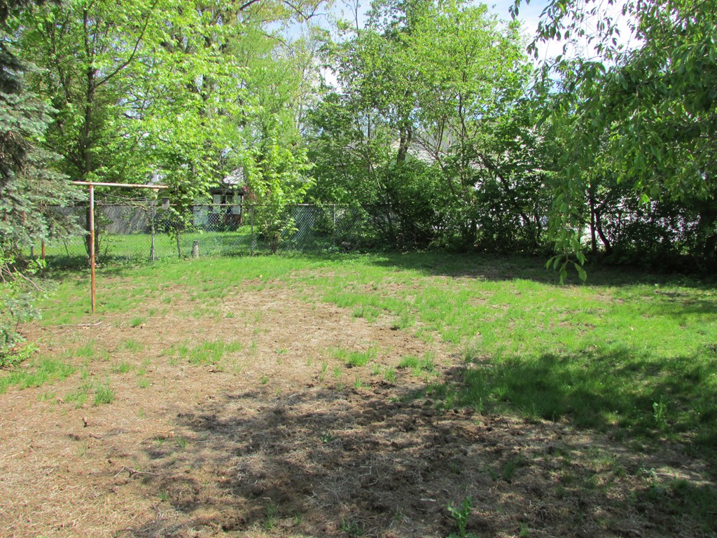 89 Clement Street Springfield, MA 01118 - Photo 4 of 14 a view of a yard with a trees