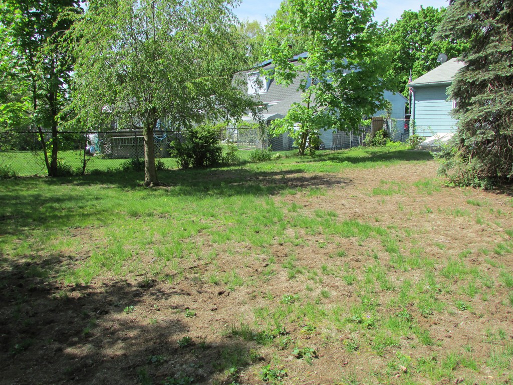 89 Clement Street Springfield, MA 01118 - Photo 5 of 14 a view of a yard with plants and trees