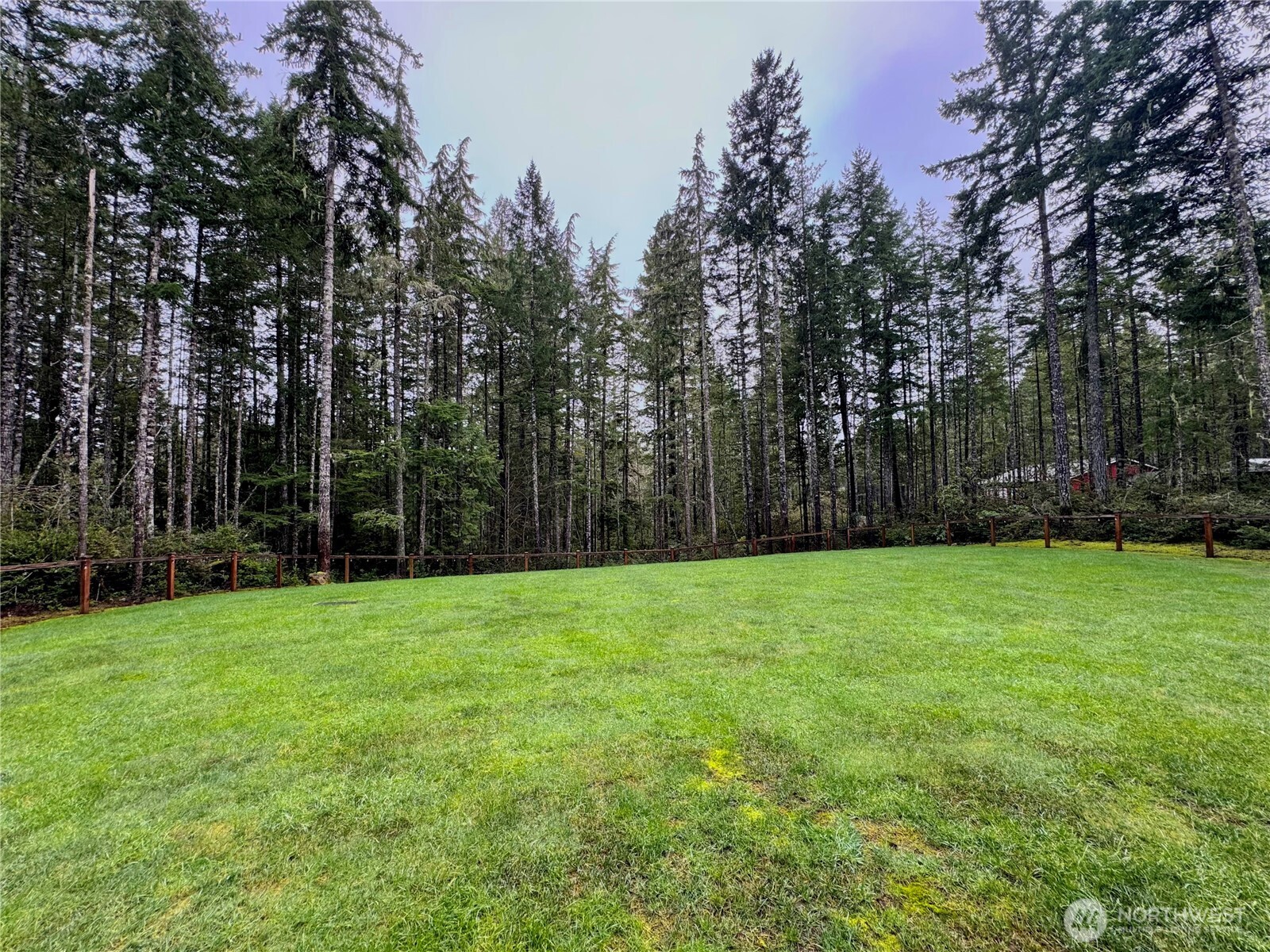 18349 Northwest Stavis Bay Road Seabeck, WA 98380 - Photo 10 of 40 a view of a yard with a trees