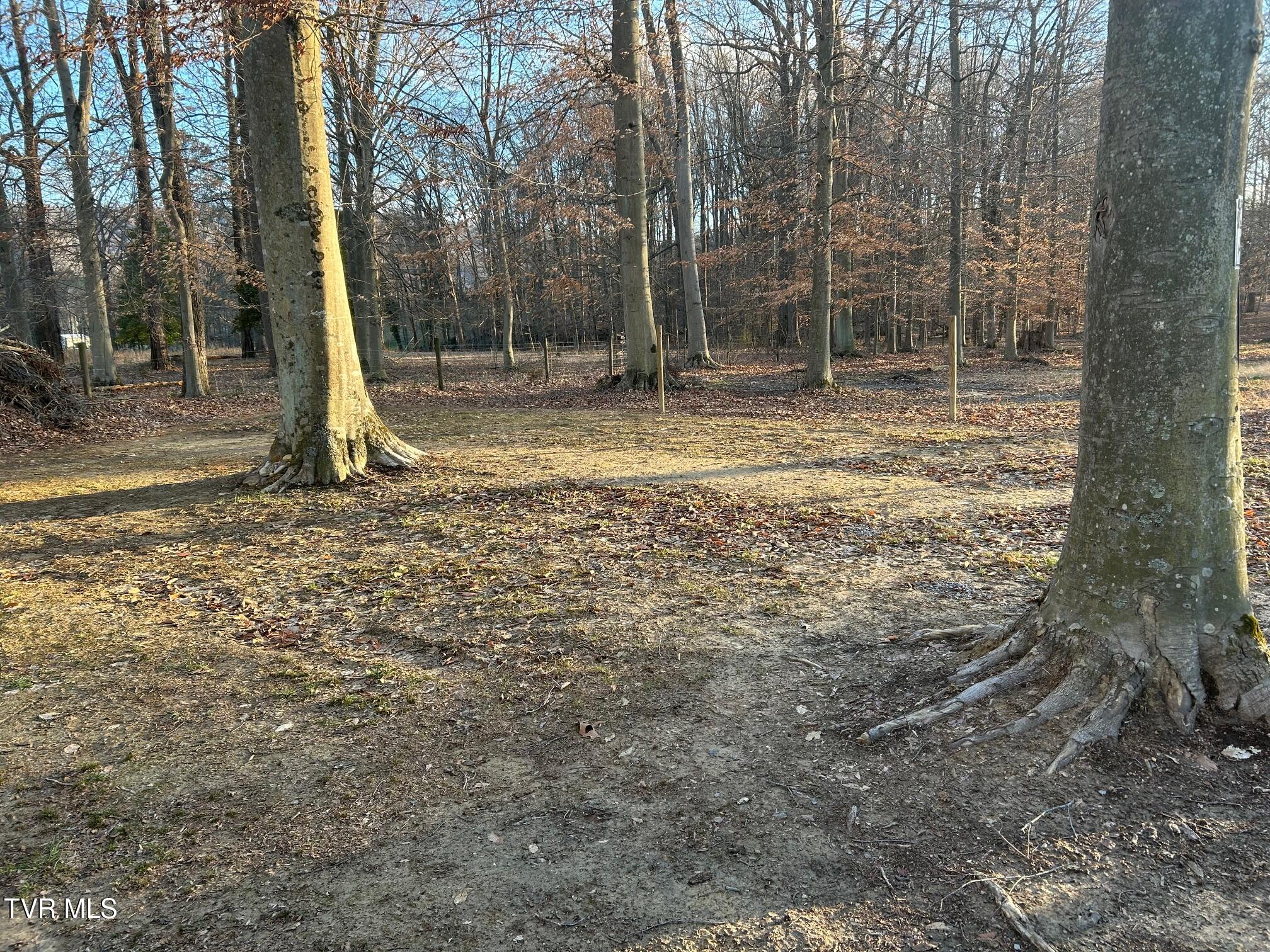 350 River Road Church Hill, TN 37642 - Photo 6 of 17 IMG_0055