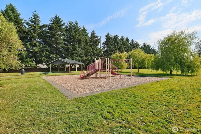 a view of a park with large trees