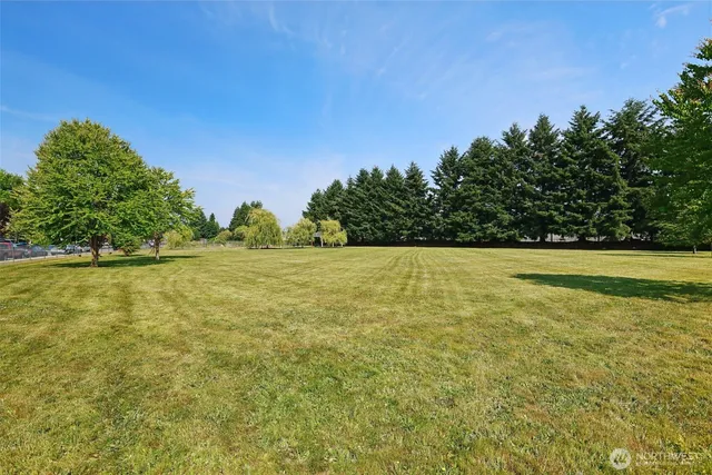 a view of a field with an ocean view
