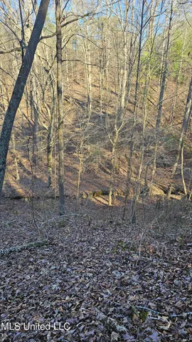 $132,300 | Sturgis Road, Sturgis, MS 39769