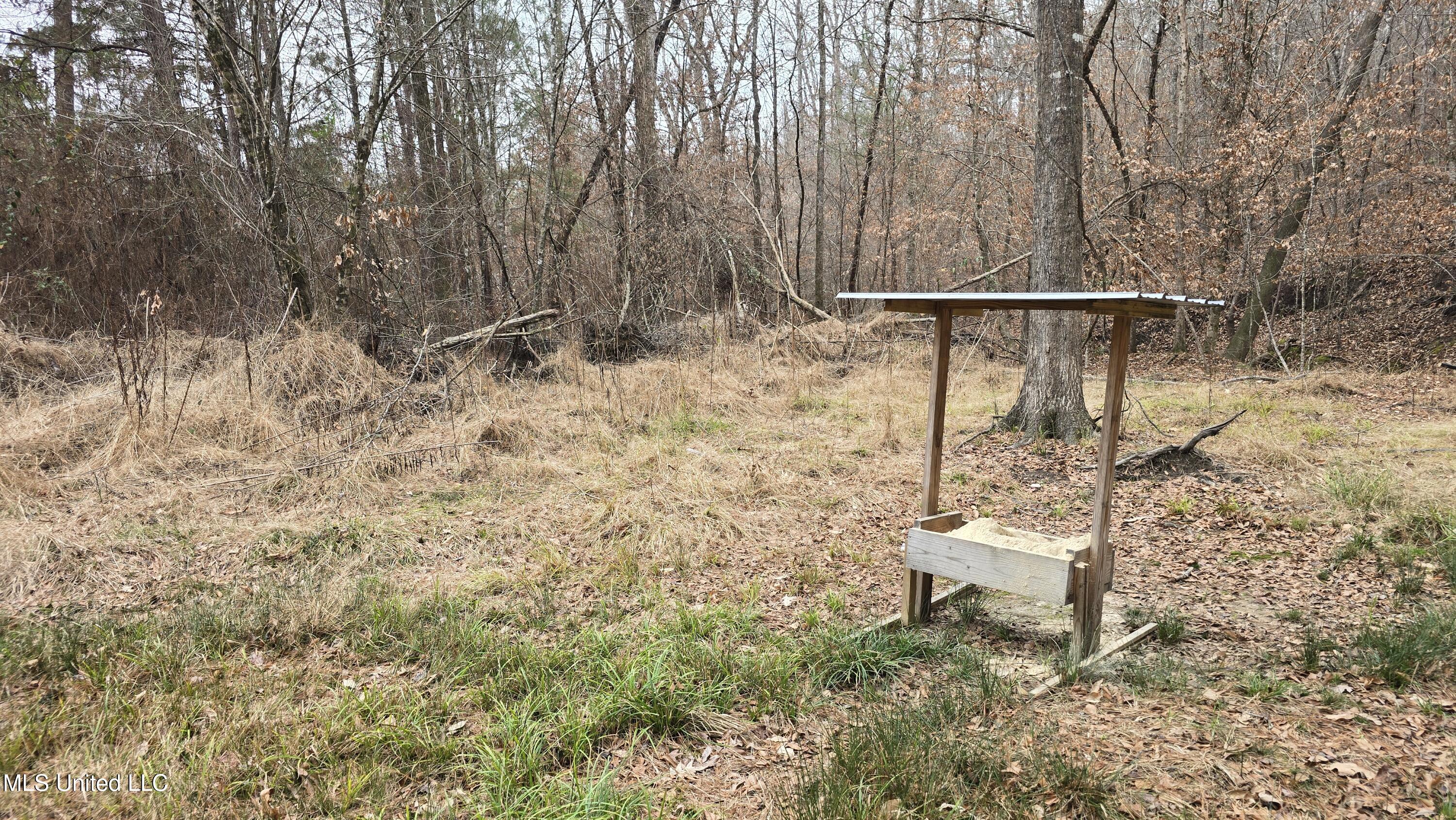 Sturgis Road Sturgis, MS 39769 - Photo 12 of 39 20260114_100554