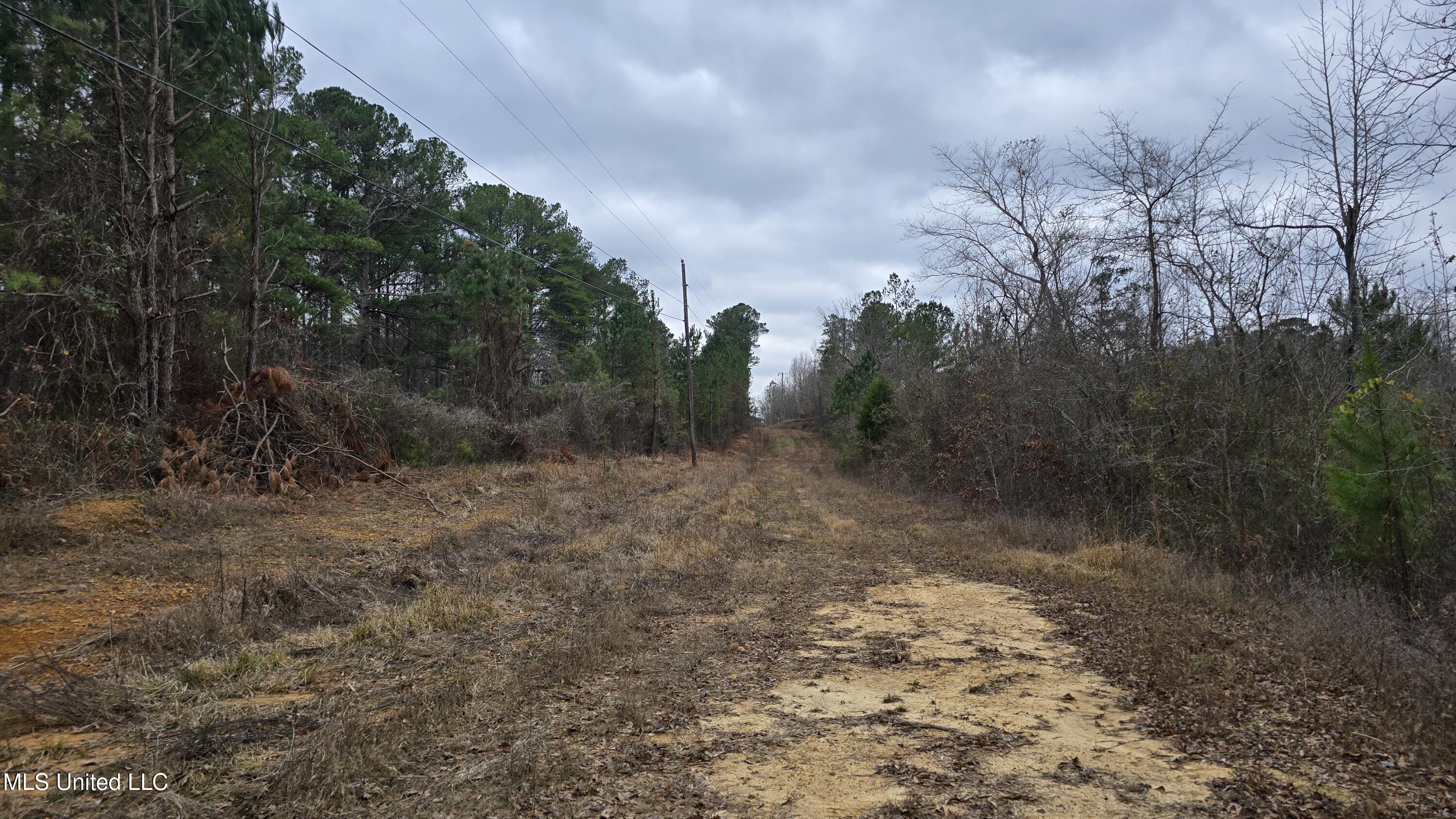 Sturgis Road Sturgis, MS 39769 - Photo 13 of 39 20260114_100749